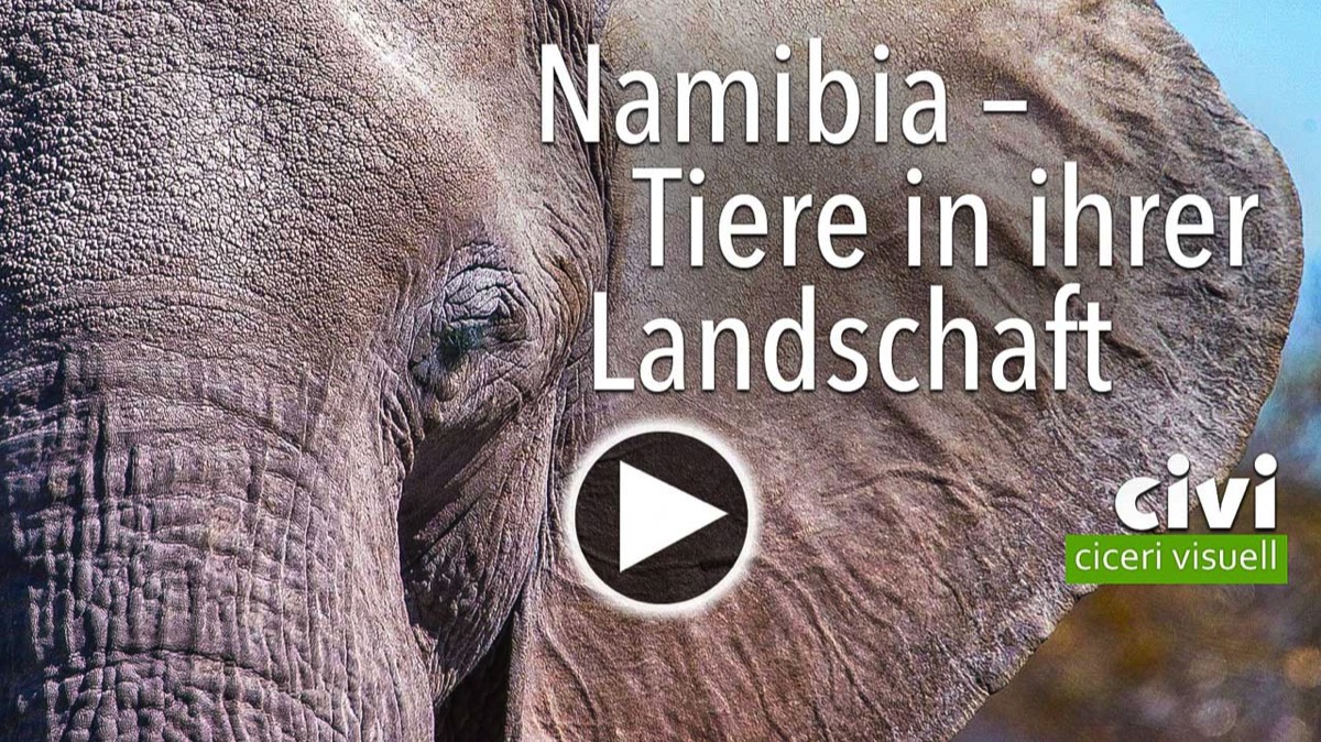 Namibia Video
